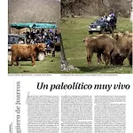 Paleolitico Rural *