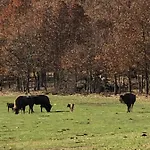 Paleolitico Rural *