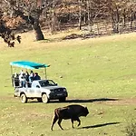 Vakantiehuis Paleolitico Rural *