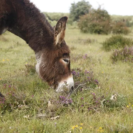 Casa de Férias Paleolítico Rural *