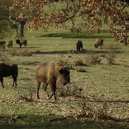 Paleolitico Rural