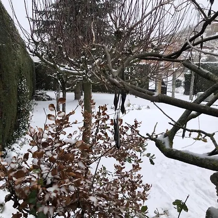 Paleolítico Rural Casa de Férias Salguero de Juarros