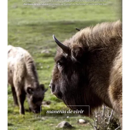 Paleolítico Rural Casa de Férias *