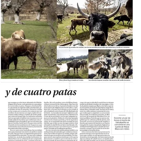 Paleolitico Rural Vakantiehuis *