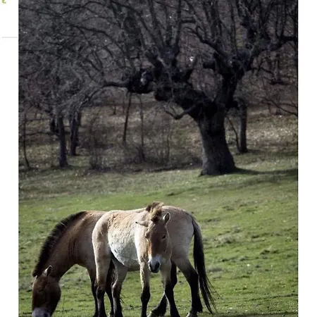 Vakantiehuis Paleolitico Rural *