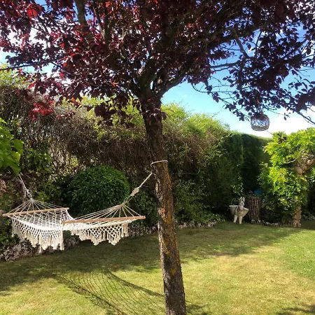 Paleolítico Rural *