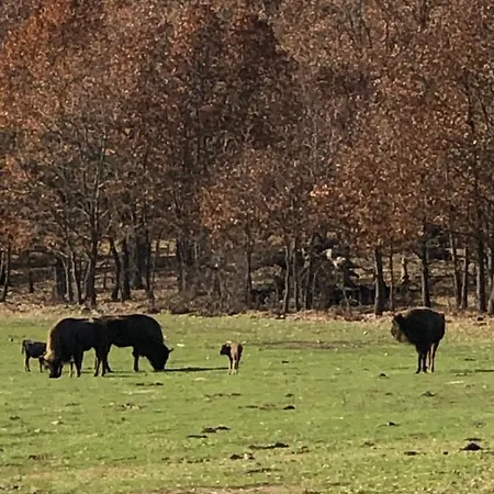 Paleolítico Rural *