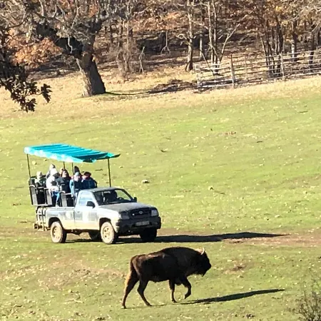 Casa de Férias Paleolítico Rural *