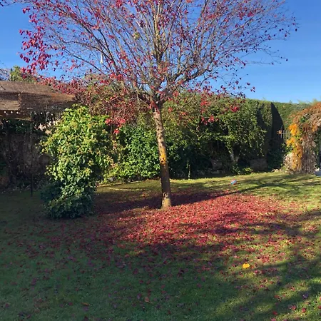 Paleolítico Rural Salguero de Juarros