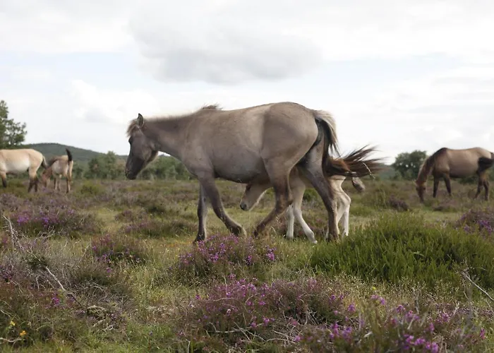 Paleolitico Rural Vakantiehuis Salguero de Juarros