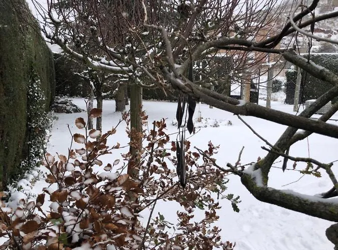 Paleolitico Rural 펜션 Salguero de Juarros