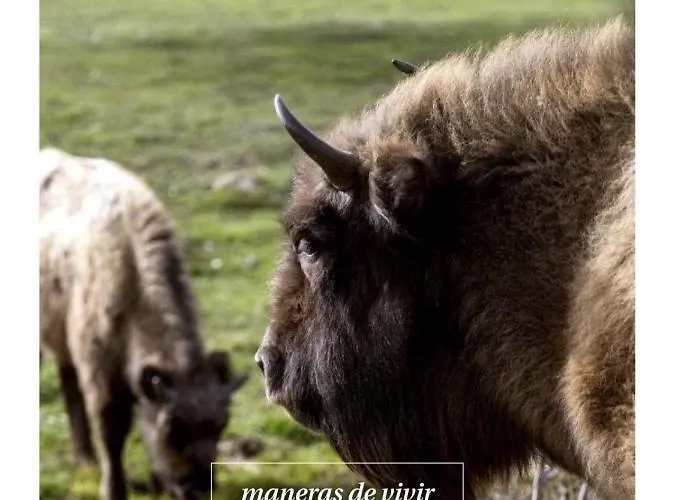 Paleolitico Rural Vakantiehuis *