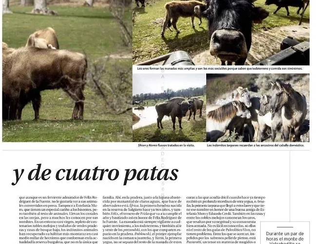 Paleolitico Rural 펜션 *