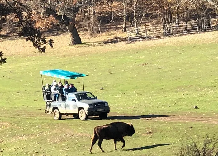 펜션 Paleolitico Rural *