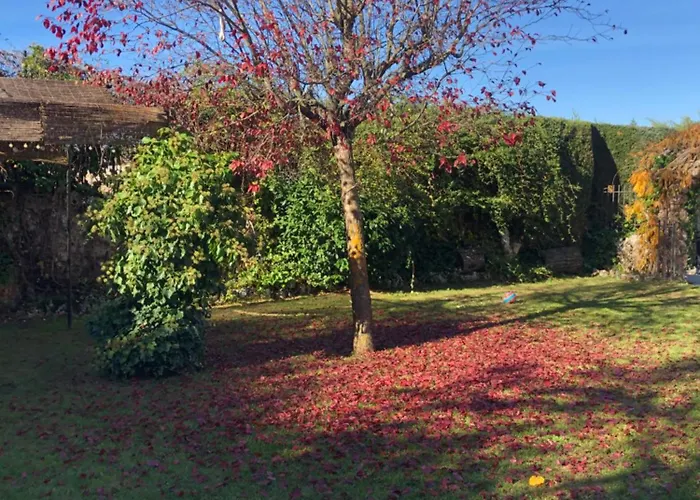 Paleolitico Rural Salguero de Juarros